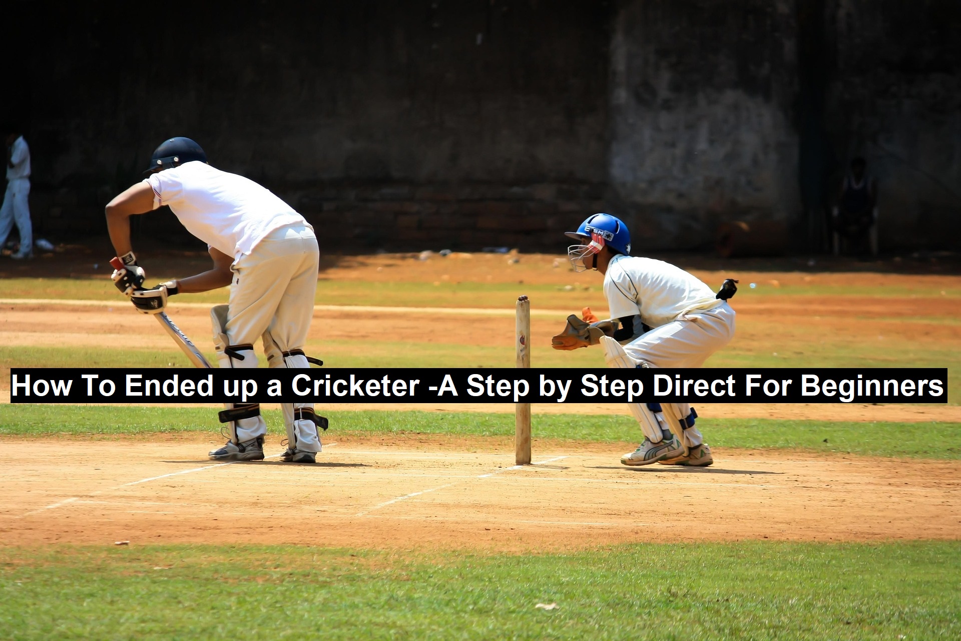 Direct For Beginners