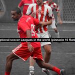 The Exceptional Soccer Leagues in the World (Pinnacle 10 Ranked 2024)
